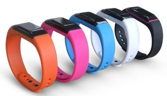 2017年智能手环选购指南 十大品牌深度解析